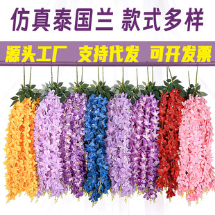 ���滨̩���m�ٻ����㻨��c�Ҿ��b��������쾰���ٻ����ϻ���