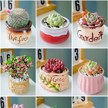 ����ֲ��M���҃�С�����辰��¶�ҵ����մɻ����Ϙ��߶�������