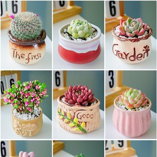 ֲM҃С辰¶ҵմɻϘ߶