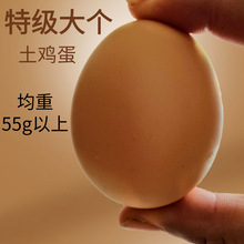 新鲜大个土鸡蛋农家散养农村草鸡蛋超55g笨鸡蛋批发整箱包邮