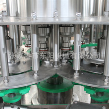 塑料瓶螺纹盖旋盖机 pet异形瓶防盗盖旋盖设备厂家定制生产