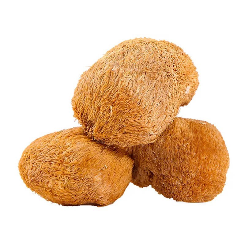 Hou Tou Gu Powder Lion's Mane Mushroom Powder 500g Fine Ground Culinary Herbal Powder in use