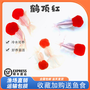 ���\���^�~�^�p�~�Q피t�{���^���~���~�����ˮ�~��ˮ���B�ͻ��~