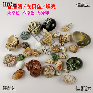 ؐ�����ݼľ�з����Q���~��ؐ�~���ݚ�ؐ�~���b�Ʒ�쾰