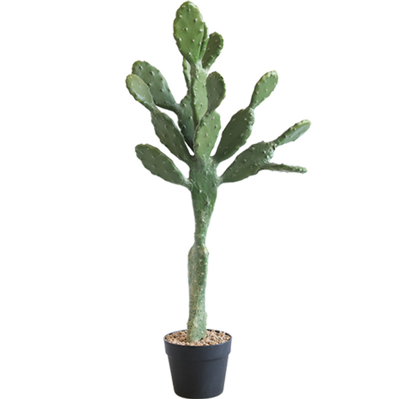 Desert Plant Landscaping Artificial Cactus Succulent Plant 5