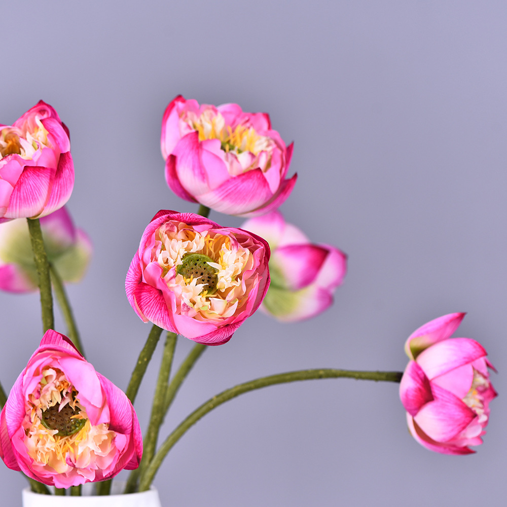 공장 직접 인공 손 느낌 로터스 하이 엔드 인공 꽃 도매 홈 호텔 웨딩 선 부드러운 장식