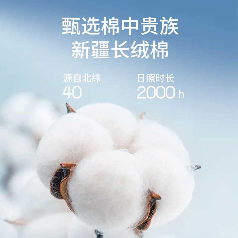 Camisa blanca para niñas Primavera y otoño Camisa blanca de manga larga con cuello redondo y fondo