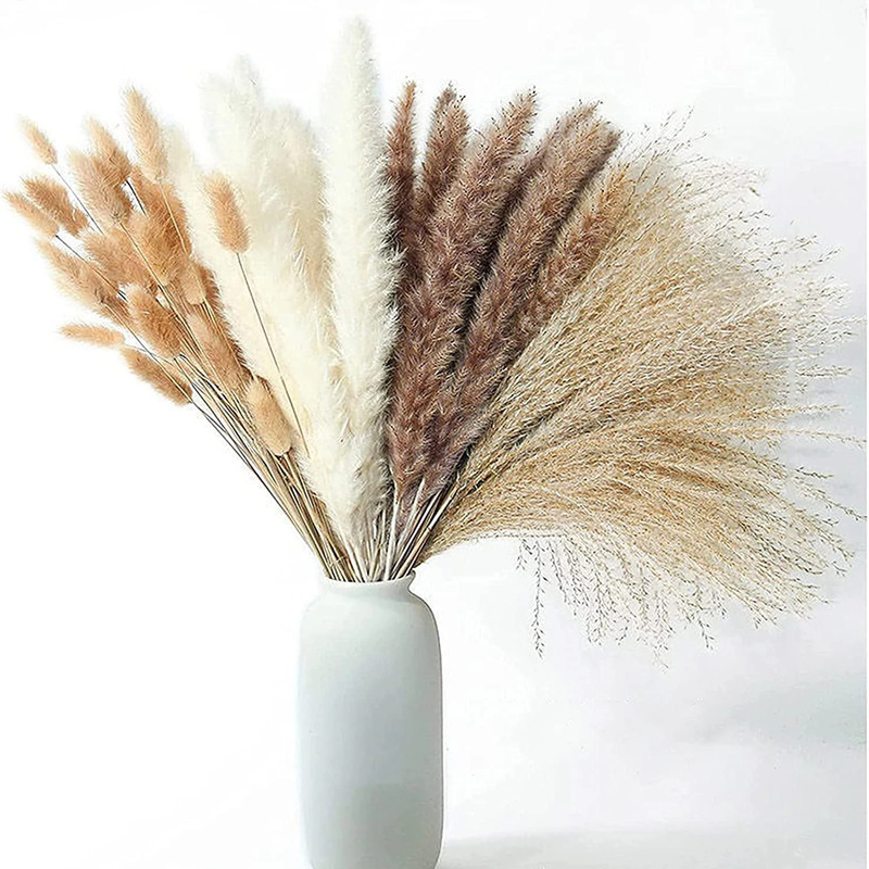 Ousides Manufacturer Wholesale Amazon Small Reed Rabbit Tail Grass Duster Small Cattail Pod Doll DIY Materials