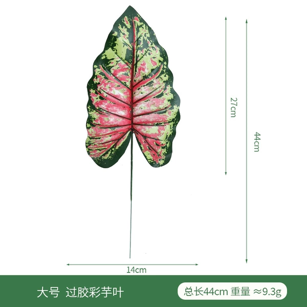 Large size gelatinized taro leaves