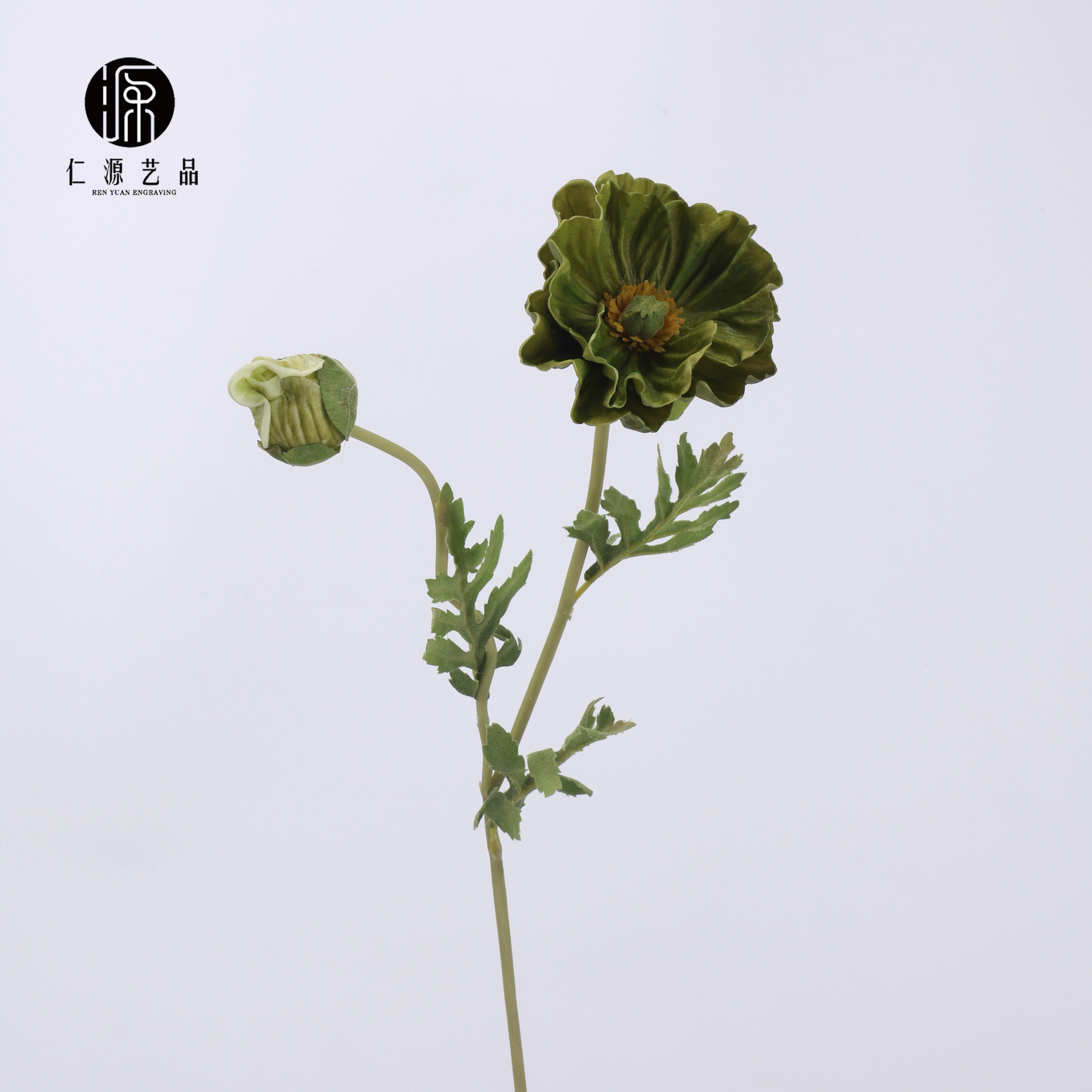 가을 녹색