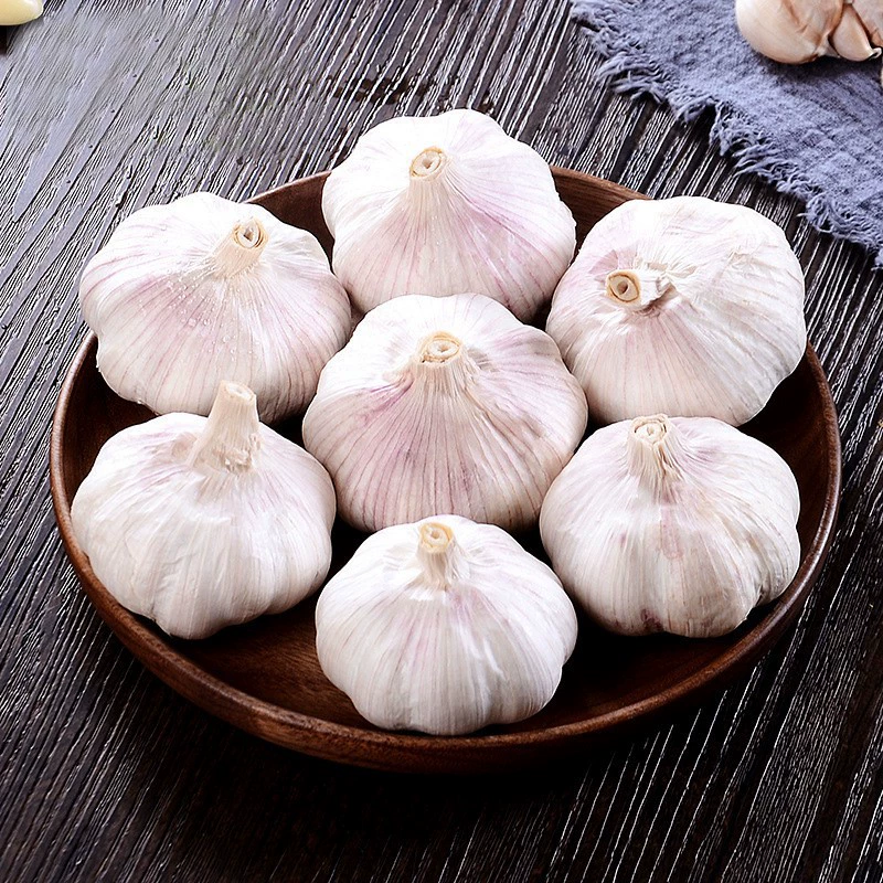 [Всесезонный] Многослойный чеснок из Шаньдуна, оптовая продажа 1/ 4.5kg головок фиолетового чеснока, фермерский четырех-шестигранный чеснок, белый чеснок