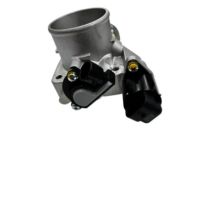 Throttle Valve 1008110-E01, Drossel