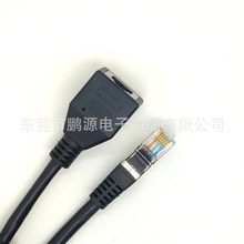 rj12ξ|ĸCAT3eξRJ12AWrj11DĸL