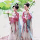 Hanfu Girl Song Dynasty Palace Style Sender dress Dress Long Sall Sleeve Classical Dance Practice Dress Group Performance Dress