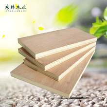 �������D���ö��Ӱ彨�B���ό�ľ��ļ��b����Ӱ������z�ϰ�