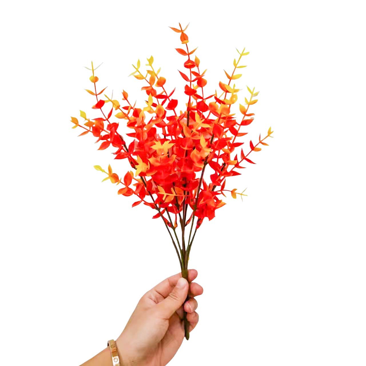 微信图片_20230818223626