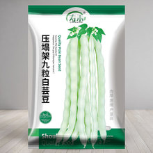 ܿNݰײ϶ǷNѴȫ߮aļժρ