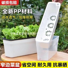 �L���β�ݮ���̨�N�˻��ۼ���͸���߲˷Nֲ���������ˮ����