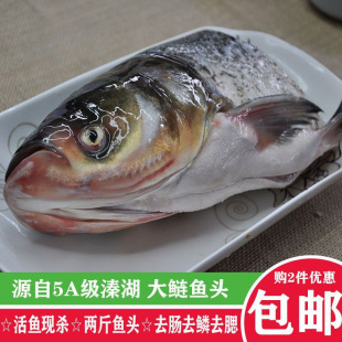 �����~�^���r�~ �F����Ճ���ȥ�[ȥ�w��ͥ�罷�~�^�Ҝ��������l