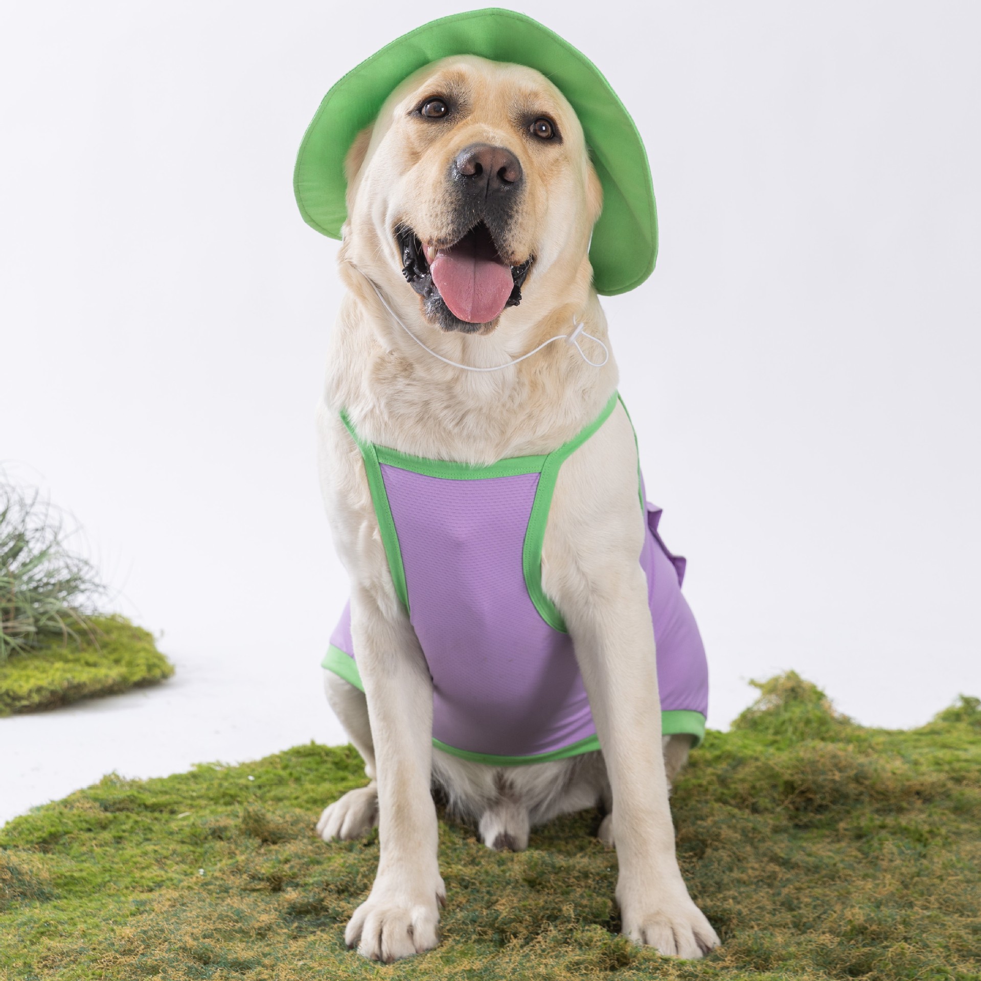 Perros de verano, perros medianos y grandes, ropa fresca y fresca, traje con capucha, chaleco para perros Golden Retriever Satsuma, ropa para perros