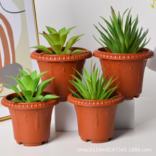 ���ϻ���Ӂ���Ӻ����þG�}ˮ��ֲ��Nֲ���ԷN�������Ի������l