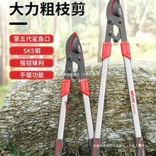 ֦֦ô֦Mޘ֦޼ꇹ