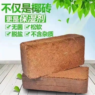 ���ݰlҬ�uҬ�u��Ҭ�u�I�B�B�����sҬ���N���o���N���ЙCÓ�}Ҭ��