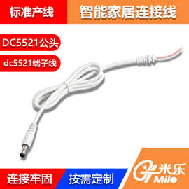 DC5521小度小爱充电线连接可制定音叉公直白色DC纯铜内芯1.5A电流