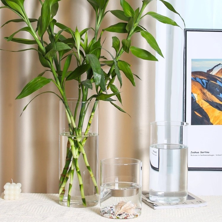 透明玻璃花瓶直筒摆件客厅干花插花富贵竹专用瓶子水培植物玻璃瓶