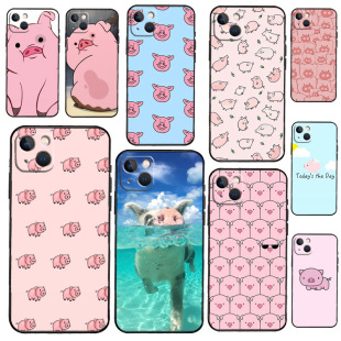 �ɐ۵ķ�ɫ�i�⚤�O���֙C�� 13 12 Mini X XR XS Max �O���֙C��