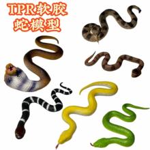 ����TPRܛ�z�S��������۾������M�ֲ���߼��߷���[���������l