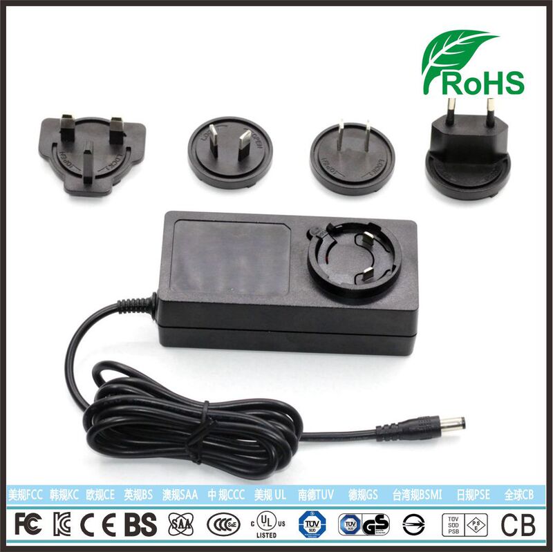 Countries Plug Changeable Adapter 65W Water Pump Massager Water Purifier Power Supply Audio 17V3A Korean Standard Germany