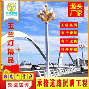 led Magnolia Light Municipal Engineering Square Landscape Light 8-12 m Scenic Spot Outdoor Light City Road Chinese Street Light