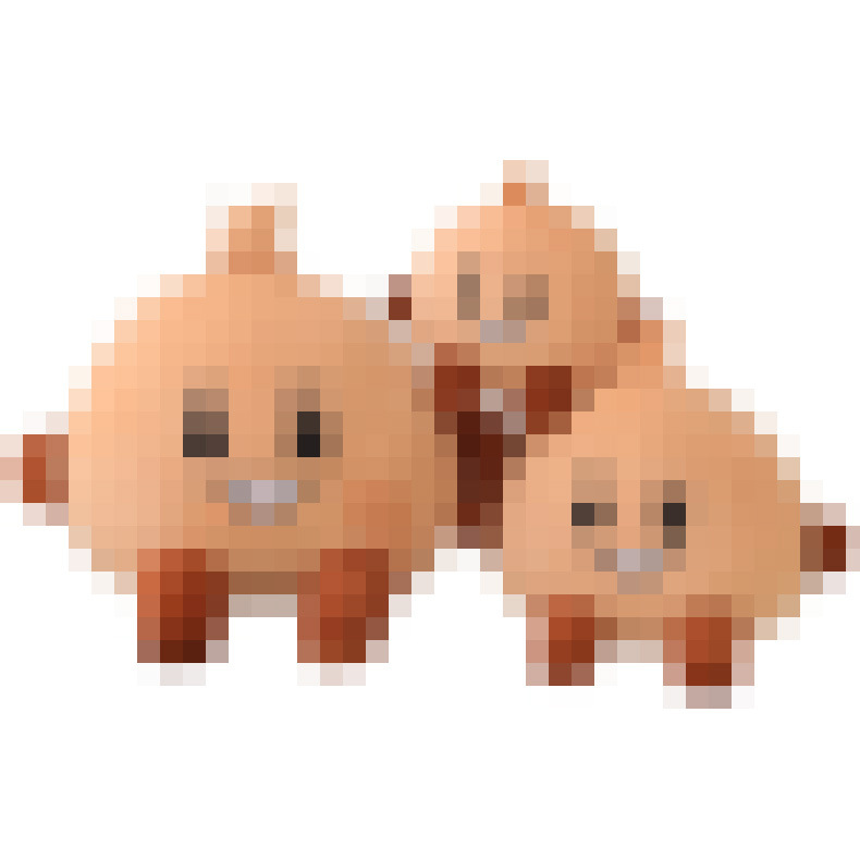 Cruz-Frontera de Corea del Sur de dibujos animados a prueba de balas Liga Juvenil muñeca de peluche de juguete cachorro Koala galleta muñeca grab máquina muñeca