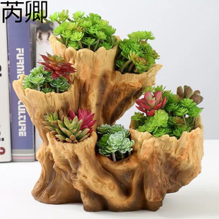 ����ֲ�ﻨ�����l��ڏ������̖���մɷ�ľ�^���Ͷ�ڶ��Ә����