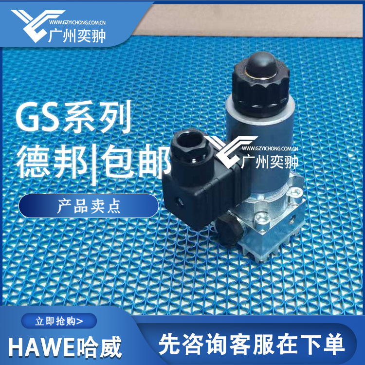 哈威换向阀GS 2-12-G 24原装进口HAWE品牌GS系列