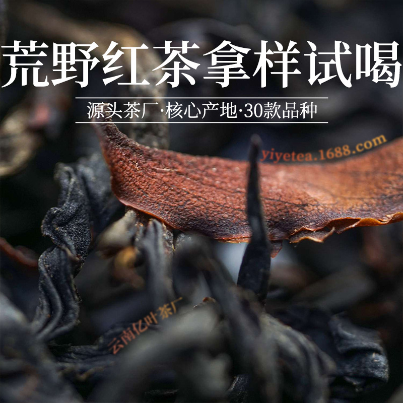 拿样试喝 云南古树红茶散装批发花果香晒红批发大树滇红茶叶试饮