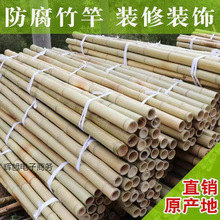 ��������b���ͷ������234��ë�����������b�޴�ܹ��S���l