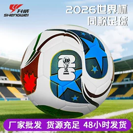 篮球;足球;羽毛球拍