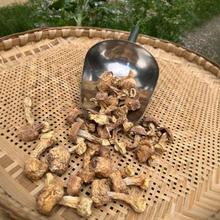 �Ĵ������׸�؛���l������ʳ�þ���ľ���㹽500�����׾����]ɢ�b