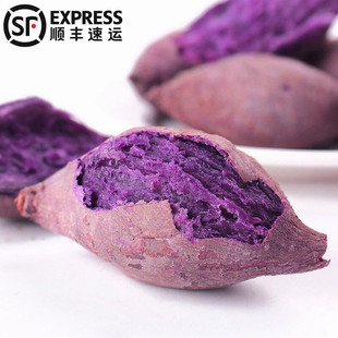 紫山芋圖片 海量高清紫山芋圖片大全 阿里巴巴