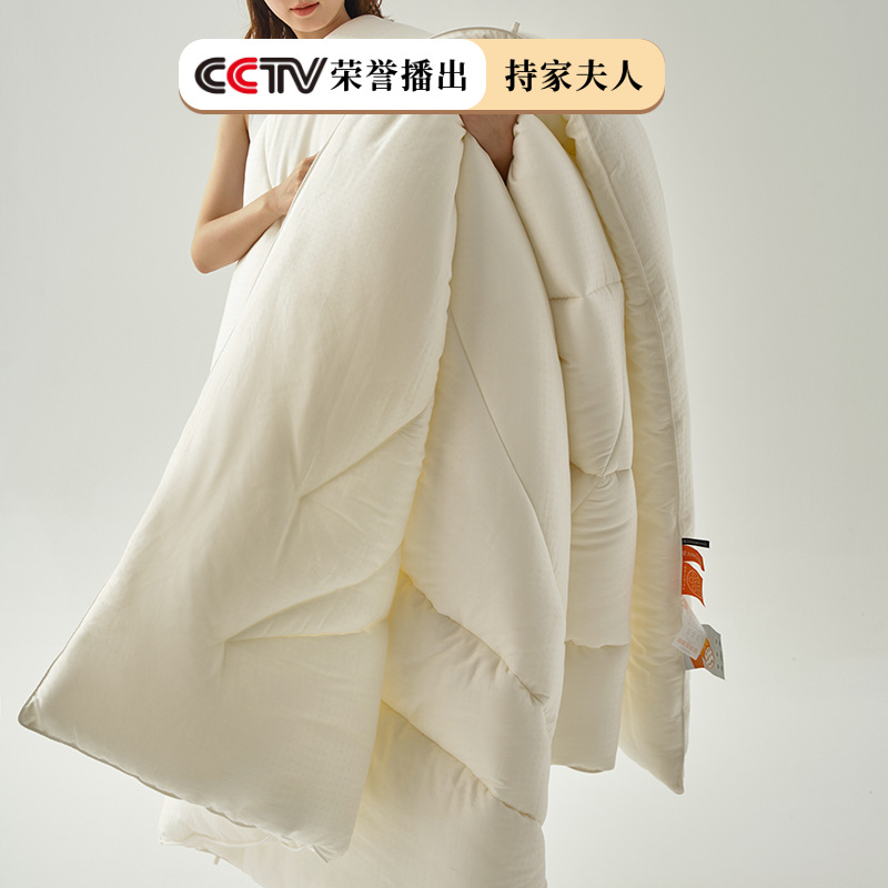 A类全棉提花十孔被春秋被冬被子被芯纯棉空调被春秋四季被8斤保暖