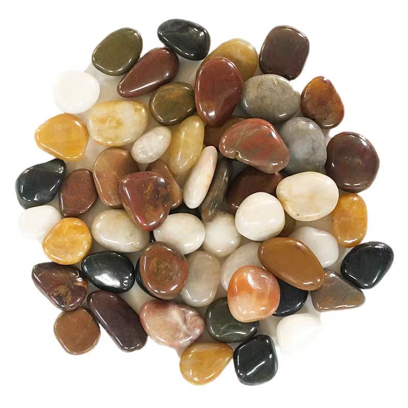 Tanque de tortuga con mesa de secado Tanque doméstico de plástico para tortugas Tortuga mascota pequeña caja doméstica portátil con tapa