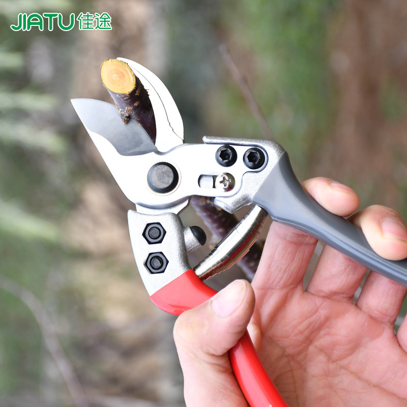 园林树木修枝剪园艺剪刀摘果剪修花修枝剪刀工具批发枝丫省力剪