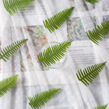 绿芒萁 押花干花diy贺卡书签滴胶饰品配件香薰蜡烛压花干树叶