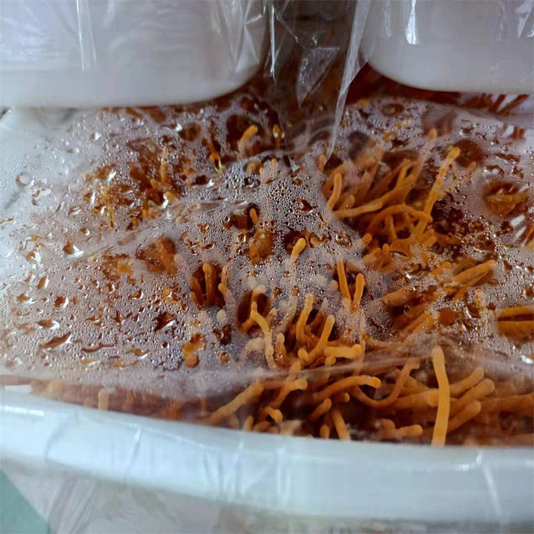 微信图片_202208130953054