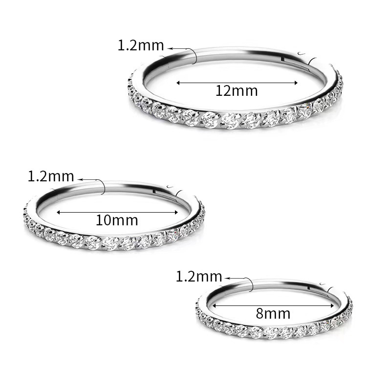G23 Titanium Nose Ring Seamless Closed Ring CZ Micro-Inlaid Zircon Nose Stud Hoop for Women Men detail image 19