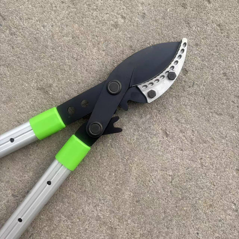 微信图片_20260129143013_573_408.jp