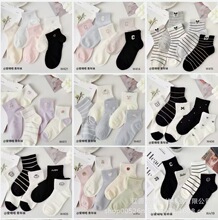 ���������W�m����Ů�m26�괺�Ŀ����͸�������W���m���m���l
