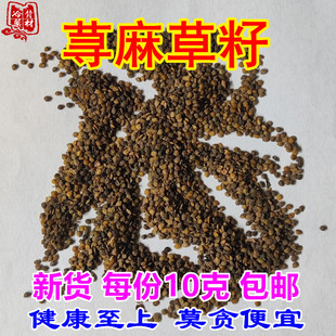 ��؛�n����� ���˲�ҧ�˲���10�˰��] ��������n����